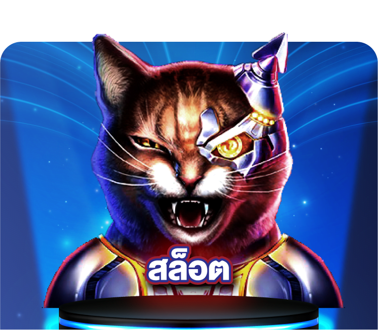 เว็บ789STEP
